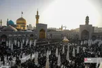 صضثضصثصض