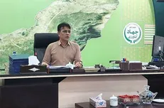 رشد ۳۵ درصدی تولید گندم در استان گلستان با بذرهای اصلاحی