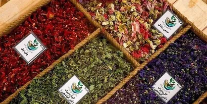 وزیر بهداشت: گیاهان دریایی به چرخه تولید دارو وارد شدند