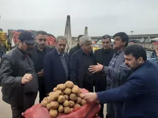 معاون استاندار گلستان: اقلام اساسی استان‌های پیرامونی گلستان را نیز تامین می‌کنیم