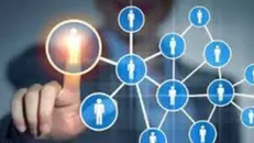 انهدام یک شرکت کلاهبرداری هرمی
