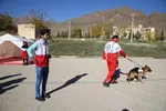 برگزاری مانور آمادگی در برابر زلزله در خوابگاه دانشجویی دانشگاه لرستان