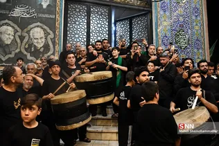 دبب