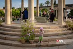 شبث