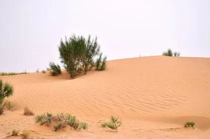 بیابان سگزی منطقه فوق بحرانی استان اصفهان از نظر بیابان&zwnj;زایی است / تشکیل کانون&zwnj;های جدید گرد و غبار در اصفهان