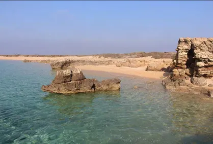 &laquo;تنب کوچک&raquo;؛ مروارید درشت خلیج فارس