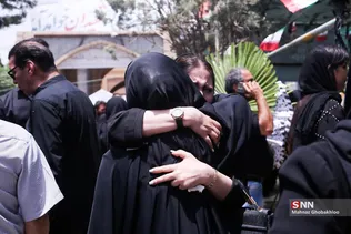 دبب