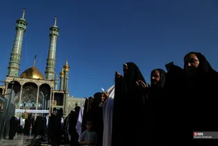 فطر