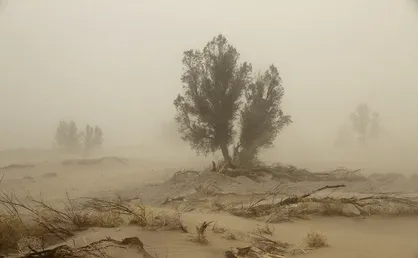 توفان ۲۱۵ سیستانی را روانه بیمارستان کرد
