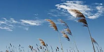 خسارت تندباد به بیش از ۱۰۰ واحد مسکونی در رامسر