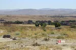 تخریب باغات