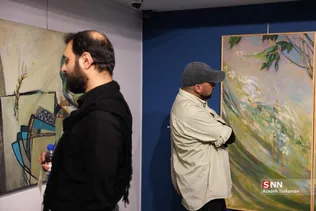 دبب