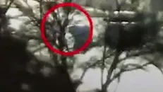 پروژه کشته سازی
