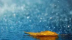 در ماه‌های آینده وضع هوای کشور چگونه است؟