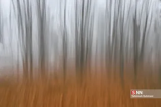 new