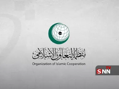 سازمان همکاری اسلامی خواستار توقف حملات اسرائیل به سوریه شد