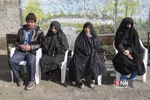 گروه جهادی