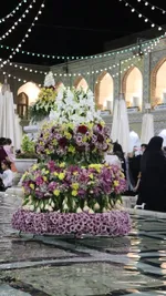 عکاس همتا جلائیان