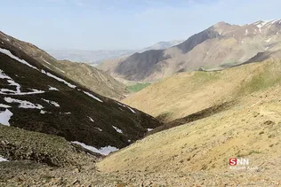 پرسون