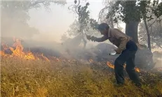 در آینده نزدیک منطقه زاگرس بیابانی خواهد شد/ تغییر الگوی آتش سوزی‌ها در کشور