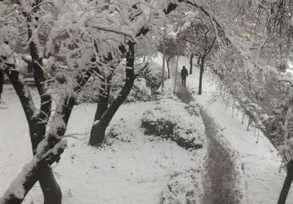 یخبندان، مدارس برخی شهرستان&zwnj;های تهران را &laquo;غیرحضوری&raquo; کرد