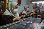زعفران کارخانه
