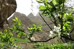 روستای شاهاندشت