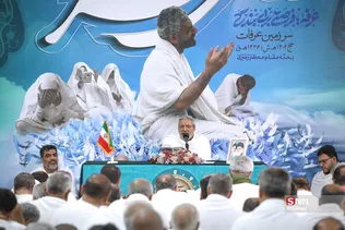 دبب