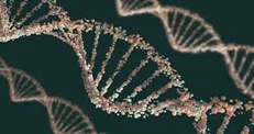 ۸۰۰ میلیون دلار برای توسعه داروی مبتنی بر RNAi سرمایه‌گذاری شد