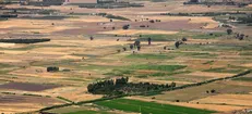رفع تصرف ۱۷ هزار متر زمین ملی در گیلان/پایان سودجویی متهم ۴۷ ساله در سیاهکل