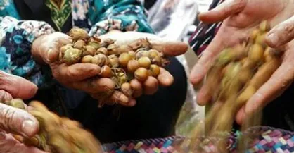 اکران آنلاین مستند &laquo;رنج زیر پوست&raquo; در هنر و تجربه