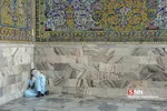 زائر