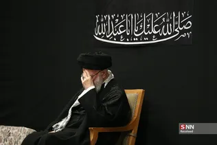 دبب