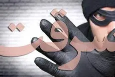 آخرین جزئیات سرقت مسلحانه شب گذشته تهران+ فیلم