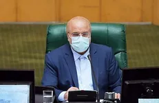 قالیباف: تبصره تورم زای طرح تقویت امنیت غذایی حذف شد
