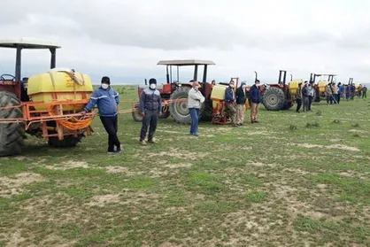 ۸۰۰ هکتار از مراتع گلستان برای مبارزه با ملخ مراکشی سم&zwnj;پاشی شد