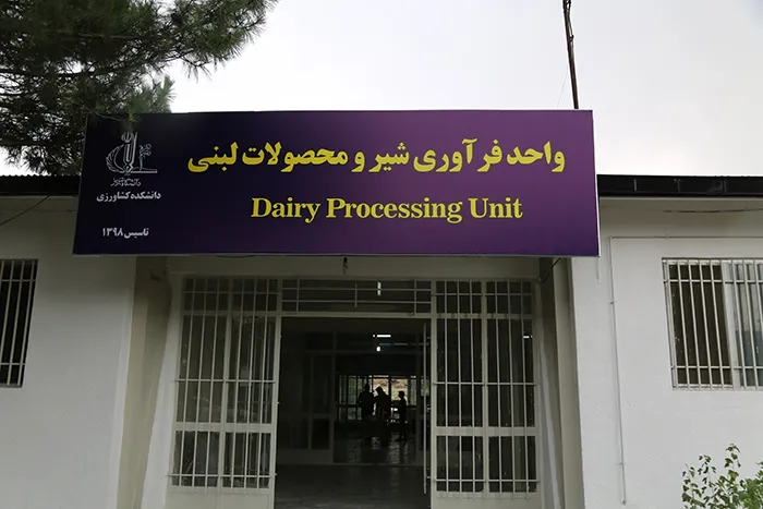 پروژه عمرانی