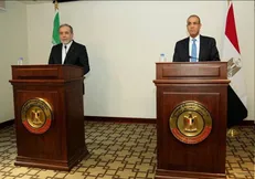 عراقچی: خواستار آتش‌بس فوری و پایدار در غزه هستیم + فیلم