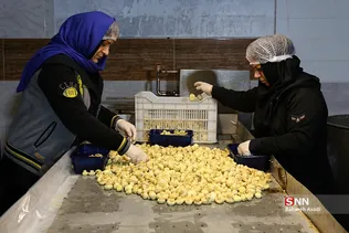 بازدید خبرنگاران از طرح‌های اقتصاد مقاومتی استان مازندران