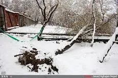 کاهش دمای هوا از فردا/ تعطیلات برف و بارانی می شود