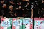 دبب