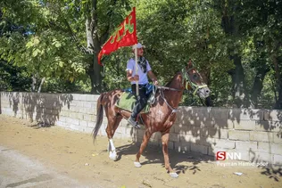 اسب