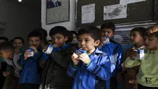 تعیین اعتبار شیر رایگان مدارس در بودجه سال آینده/ آخرین وضعیت تولید کارخانه‌هاعلمی پزشکی‌ آموزش و پرورش