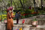 باغ ایرانی