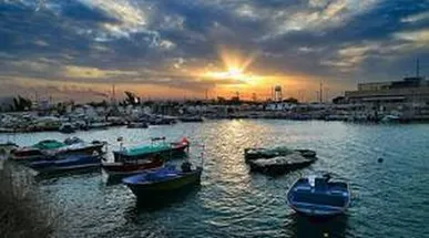 هیچ شهیدی در حملات شب گذشته خارگ نداشتیم / مراکز بهداشتی درمانی خارگ، آسیبی ندید