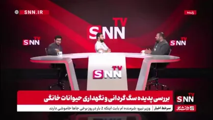 عبدالحمیدی: نگه داشتن حیوانات خانگی نیازمند قانون و آموزش است