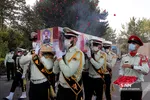 دذتد