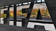 ورود فیفا به پرونده سرمربی سابق استقلال