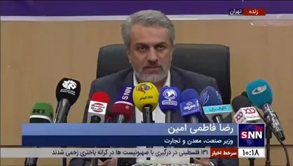فاطمی&zwnj;امین: ما با دست خودمان قیمت&zwnj;های داخلی را به نرخ ارز متصل کردیم