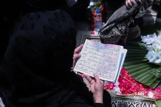 دبب